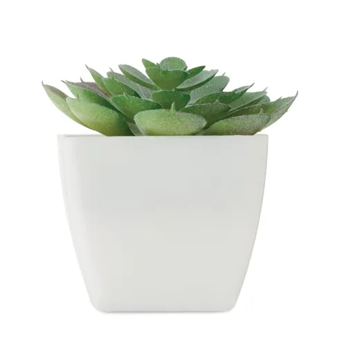 ARTIECHE Mini műnövény, echeveria Fehér 