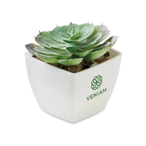 ARTIECHE Mini műnövény, echeveria Fehér 