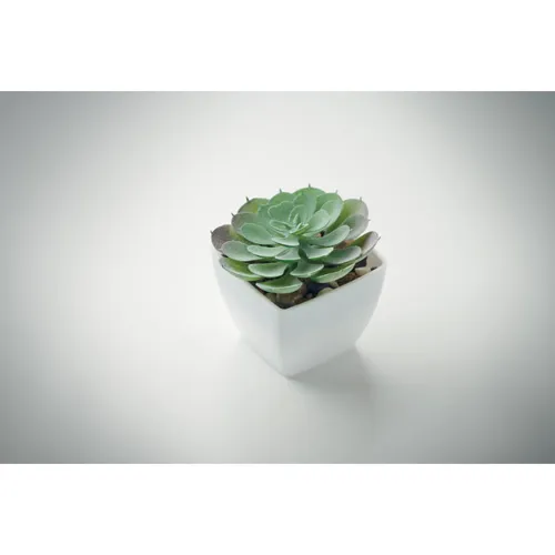 ARTIECHE Mini műnövény, echeveria Fehér 