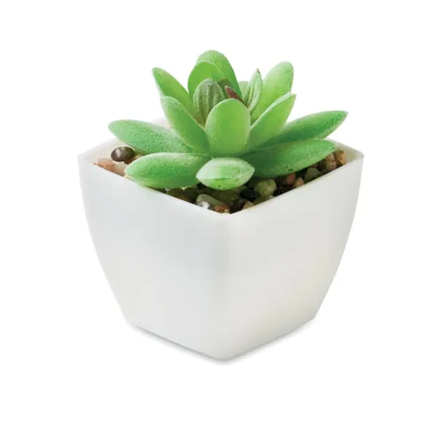 ARTIGRAP Mini műnövény, graptopetalum Fehér 