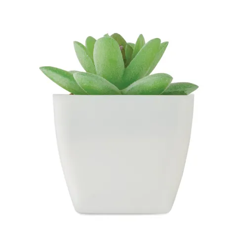 ARTIGRAP Mini műnövény, graptopetalum Fehér 