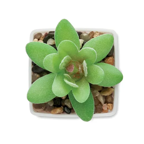 ARTIGRAP Mini műnövény, graptopetalum Fehér 