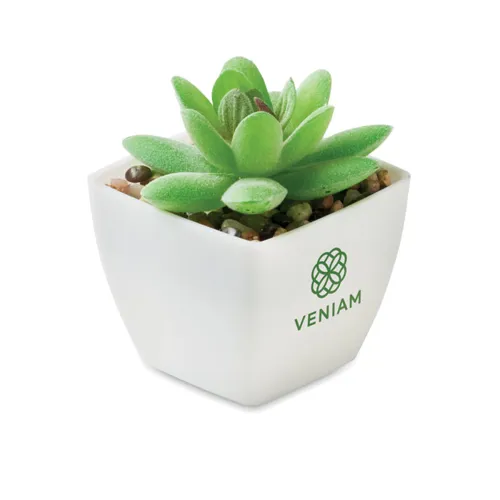 ARTIGRAP Mini műnövény, graptopetalum Fehér 