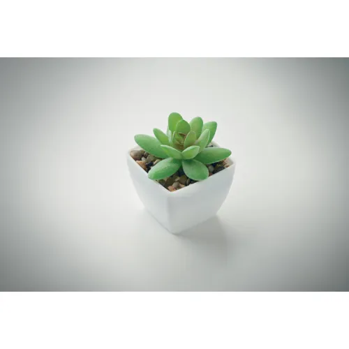 ARTIGRAP Mini műnövény, graptopetalum Fehér 