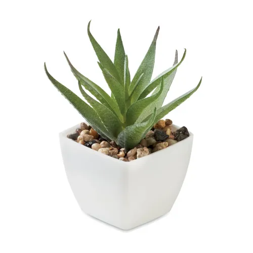 ARTILOE Mini műnövény, aloe ferox mill Fehér 