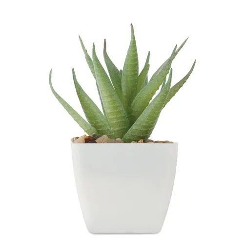 ARTILOE Mini műnövény, aloe ferox mill Fehér 