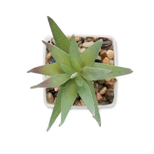 ARTILOE Mini műnövény, aloe ferox mill Fehér 