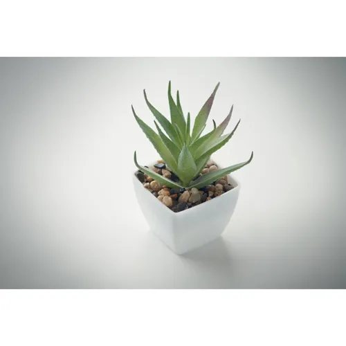 ARTILOE Mini műnövény, aloe ferox mill Fehér 