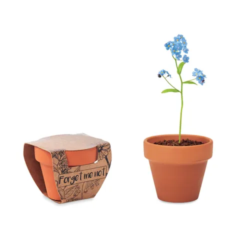 FORGET ME NOT Terrakotta ültető, nefelejcs Barna 