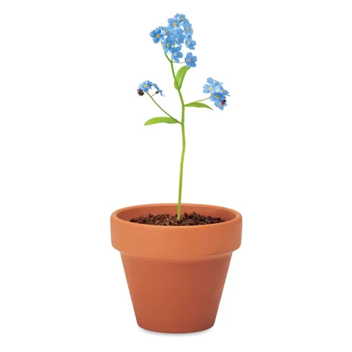 FORGET ME NOT Terrakotta ültető, nefelejcs Barna 