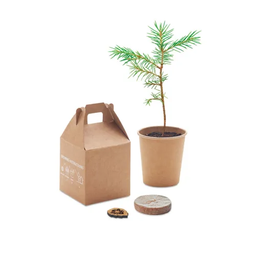 GROWTREE™ Fenyő ültető készlet Bézs 
