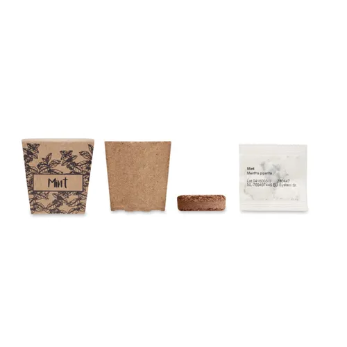 MINT KIT Menta ültetőkészlet Bézs 