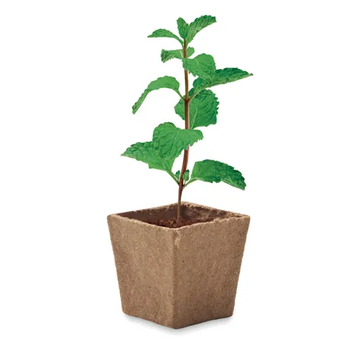 MINT KIT Menta ültetőkészlet Bézs 