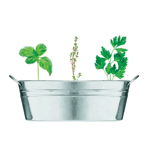 MIX SEEDS Cink edény 3 féle növénymaggal Matt Ezüst 
