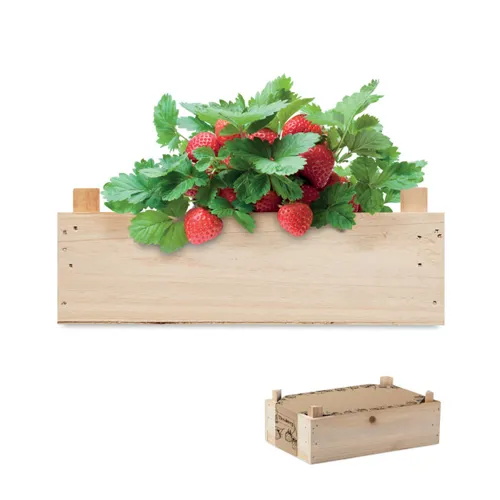 STRAWBERRY Epertermesztő készlet, faláda Fa 