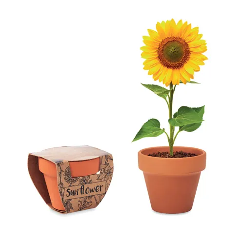 SUNFLOWER Terrakotta ültető, napraforgó Barna 
