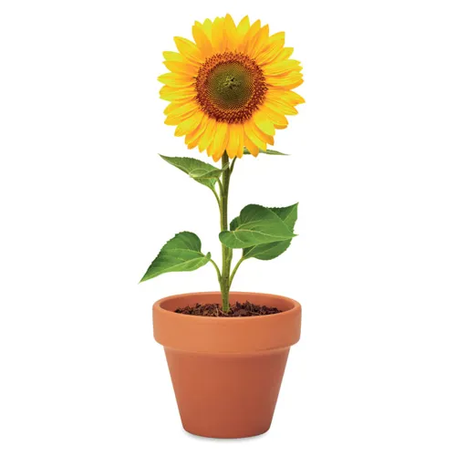 SUNFLOWER Terrakotta ültető, napraforgó Barna 