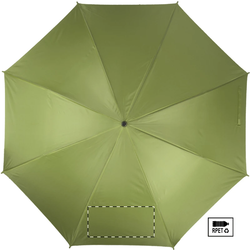 Panel 7