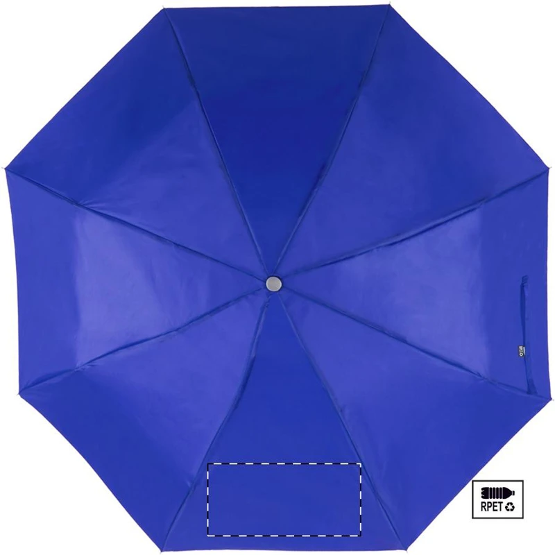 Panel 7