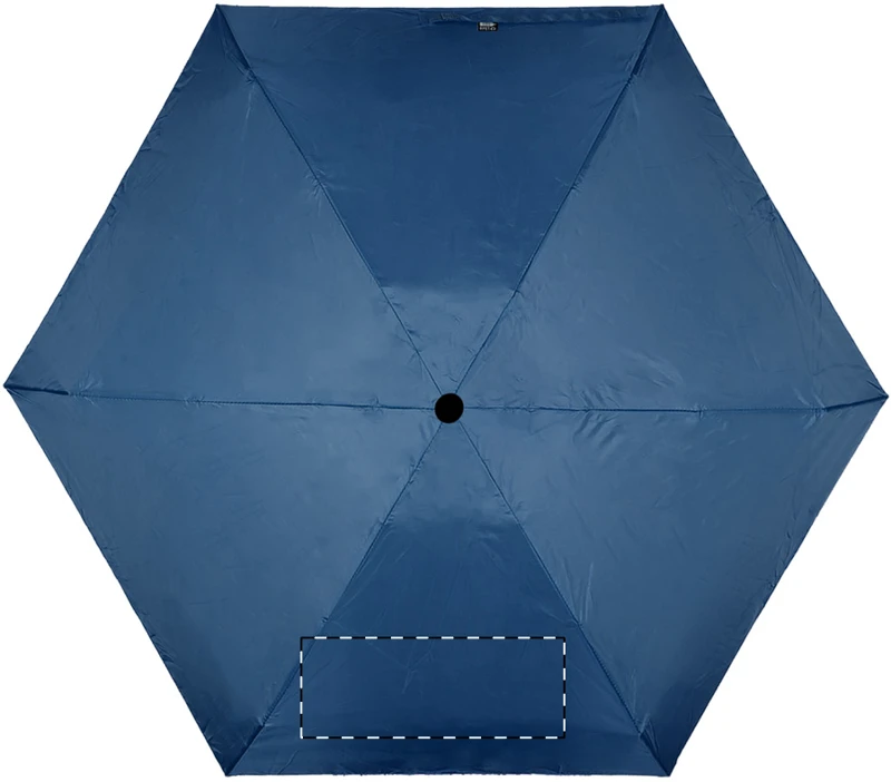 Panel 4