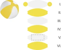 Panel 5