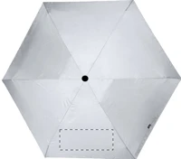 Panel 6