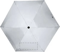 Panel 5