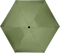 Panel 5