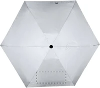 Panel 4