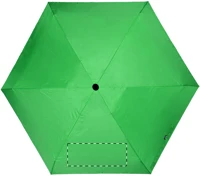 Panel 6