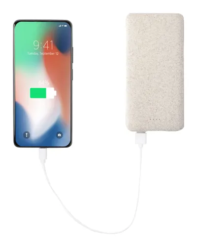 Power bank Durum XL Barna 