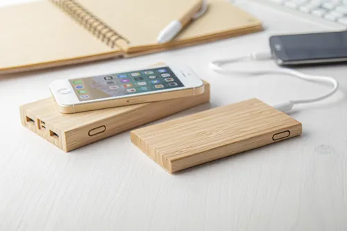 Power bank Wooster Barna 