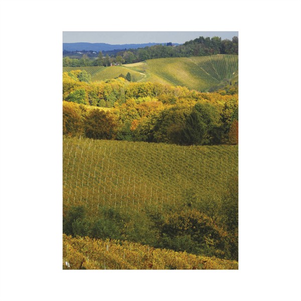 Falinaptár 2026