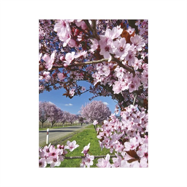Falinaptár 2026