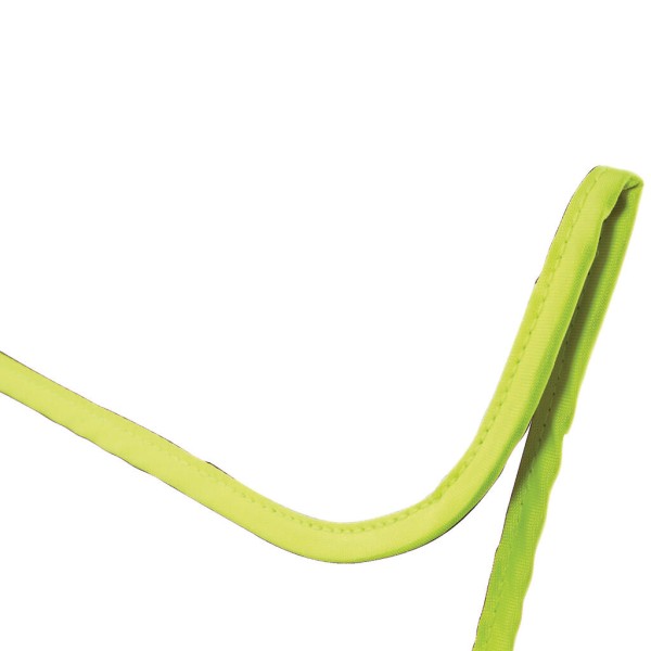 Enhanced-Viz Book Bag  