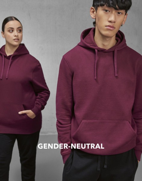 ID.223 Hoodie  