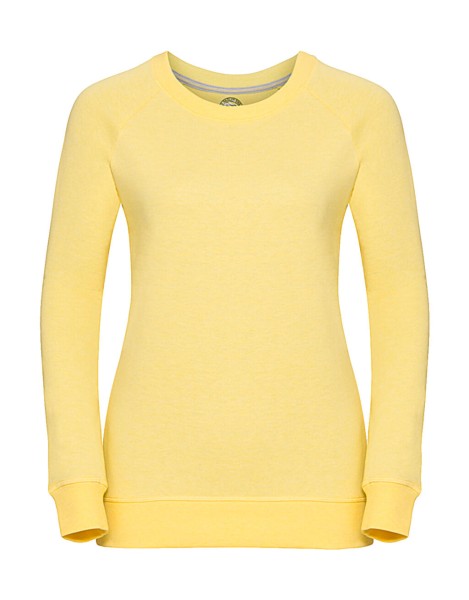 Ladies HD Raglan Sweat  