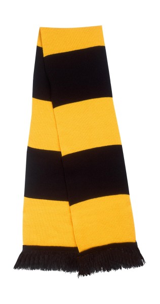 Team Scarf  